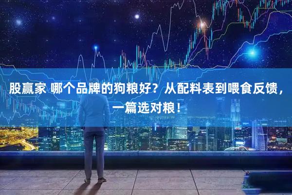 股赢家 哪个品牌的狗粮好？从配料表到喂食反馈，一篇选对粮！